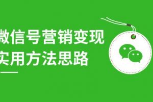 微信号营销变现实用方法思路，朋友圈刷屏裂变（共12节）价值199元