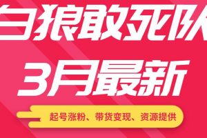 白狼敢死队3月最新：起号涨粉、带货变现、资源提供