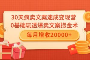 30天疯卖文案速成变现营，0基础玩透爆卖文案捞金术！每月增收20000+