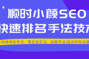 顺时小颜SEO快速排名手法技术教程、寄生虫手法、站群手法(适合所有关键词)