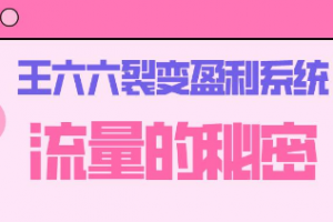 王六六裂变盈利系统课程01流量的秘密（核心诱饵+信任模型+裂变模式）